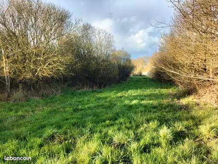 av 10 hectares de nature brute  parfait pour chasse ou projet agricole