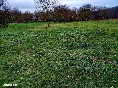 herbage chevaux 1  6 hectares