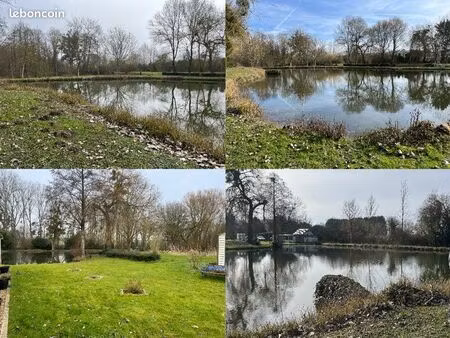 terrain de loisir avec étang