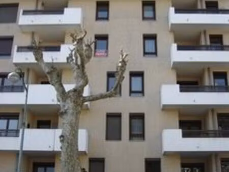 appartement 2 pièces 52 m²