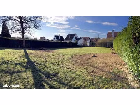 terrain constructible