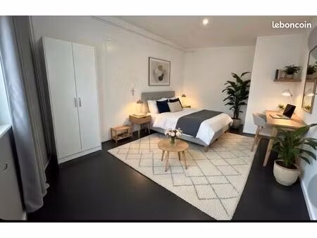 appartement centre ville + cave