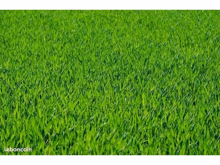 terrain 324 m² mieussy