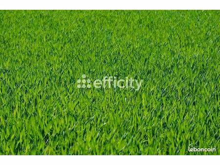 terrain 345 m² mieussy