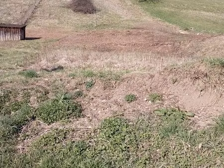 terrain constructible