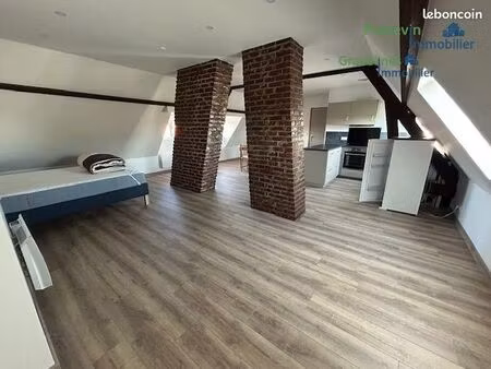 studio 1 pièce 49 m²