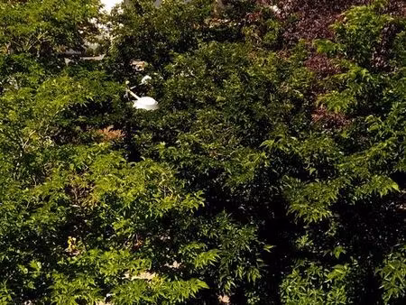 appartement 49m2 secteur gare grignon