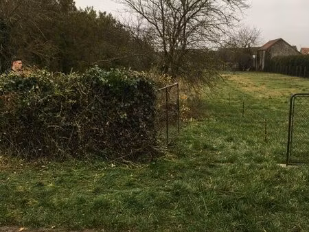 terrain constructible