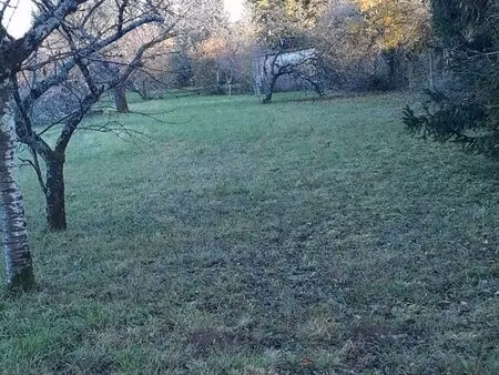 terrain constructible