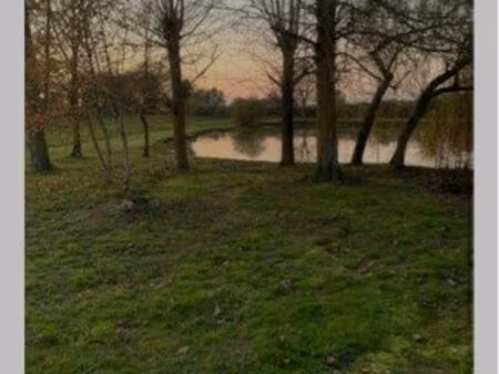 terrain de loisir avec étang