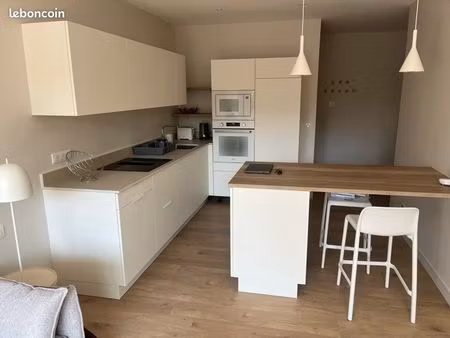 loue magnifique t2 vieille ville annecy