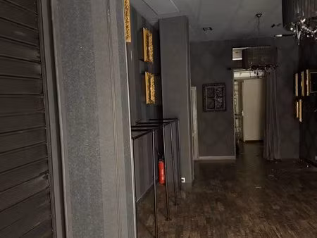 local centre ville albi