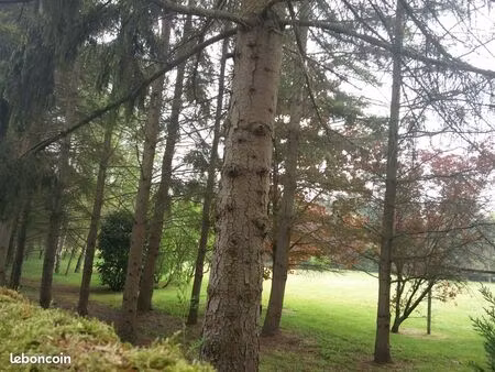 le bugatti des terrains constructibles  tout près de la seine  à 5 km du château de fontai