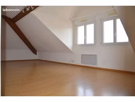 à louer - t2 57m2 (71m2 au sol)