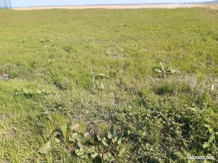 terrain pour maraîchage