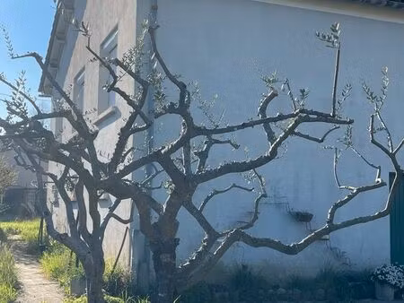 maison individuelle 60m2 terrain 470m2