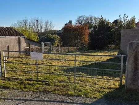 terrain constructible