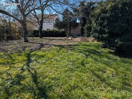 grand terrain constructible