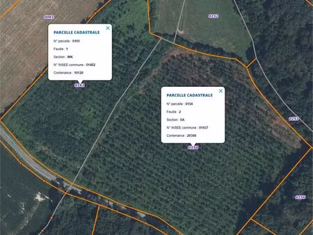 parcelle de bois plantation de chênes