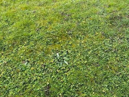 vends terrain constructible