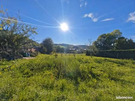 généreuse maison de village avec terrain et garage