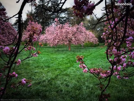 terrain de loisirs ou maraîchage à louer