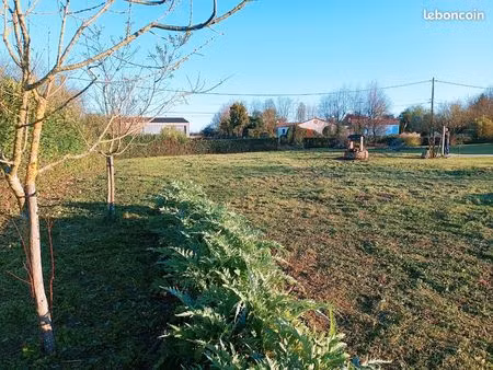 terrain constructible