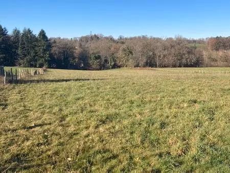 terrrain a rilhac-rancon