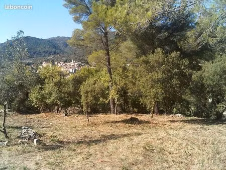terrain 1500m² - 225m² constructible viabilisé à callas (var)