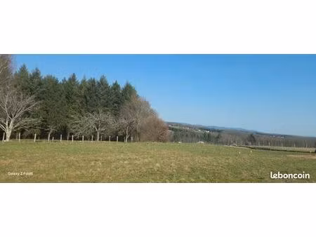 terrain palais-sur-vienne constructible