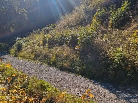 terrain constructible