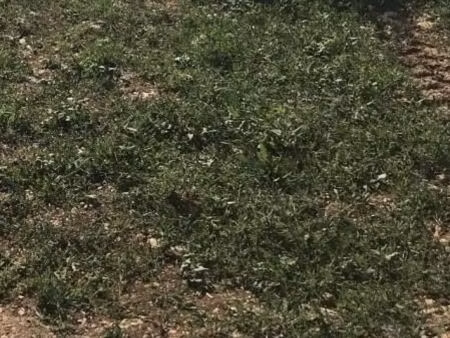 terrain 658 m² fontaines