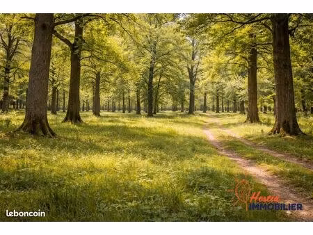 terrain 8300 m² montaigu