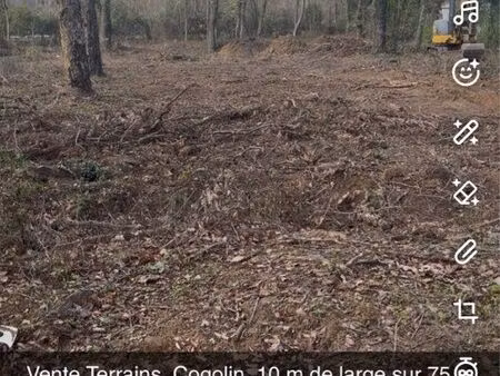 terrains cogolin