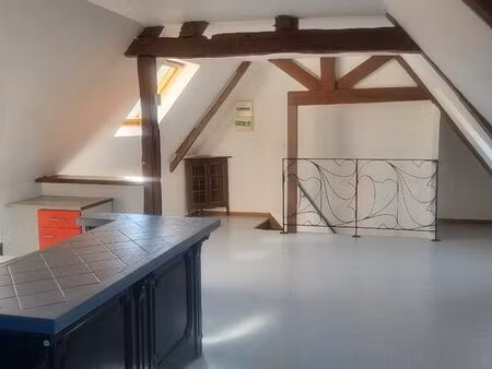 appartement haut de laon
