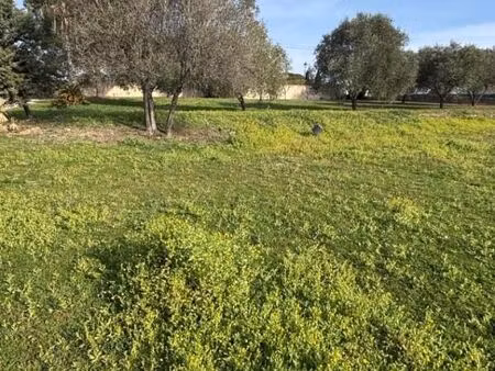 terrain 631 m² puget sur argens