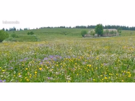 recherche terrain agricole