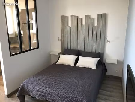 studio 30 m2 face au chateau