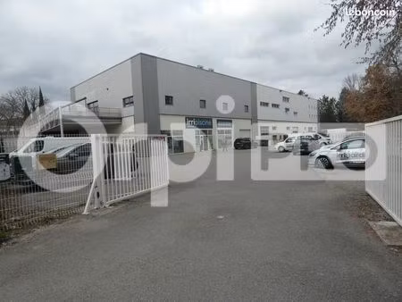 local commercial 401 m²