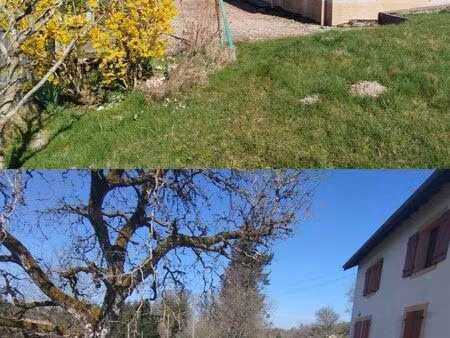 jolie maison avec bassin et 2 hectares