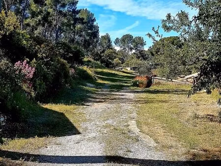 propriété environ : 5000