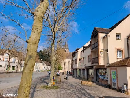 duplex 114 m² – 3 ch + bureau + bibliothèque – parking – hyper centre au calme