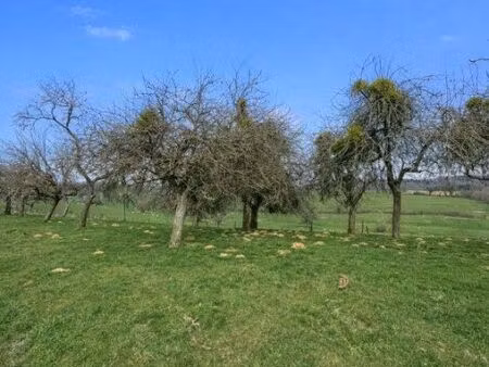 terrain 5552 m² pure