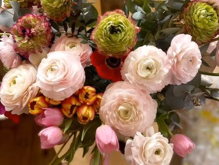 location terrain camping car