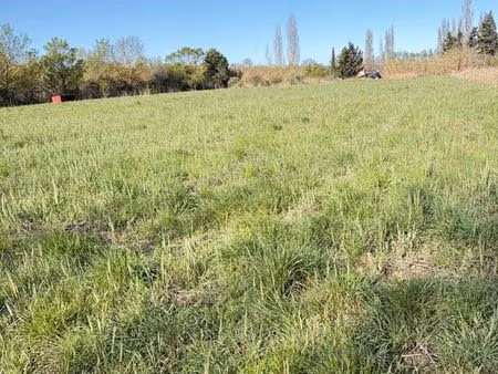 terrain agricole constructible