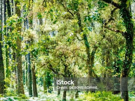 bien agricole 13000 m² channes