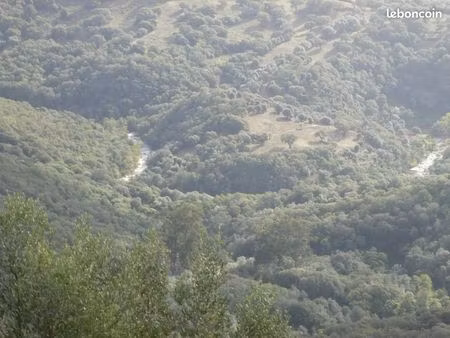 parcelles boisées avec ruine bergerie cadastrée en sortie de pila canale