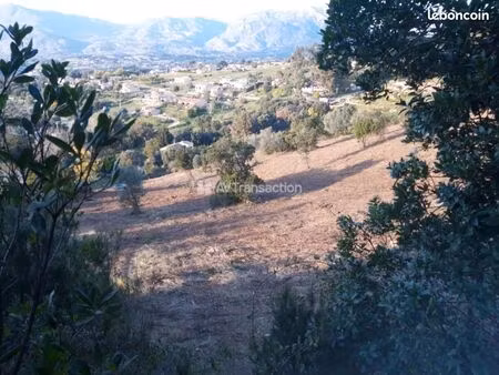 terrain 4 260 m² cuttoli corticchiato