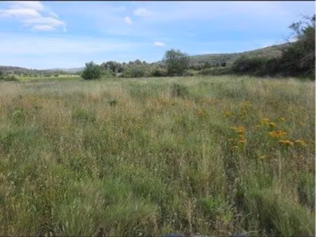 terrain constructible