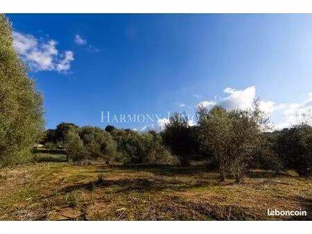 terrain 974 m² bastelicaccia